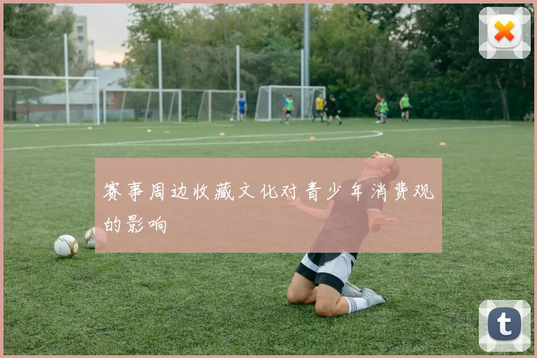 赛事周边收藏文化对青少年消费观的影响