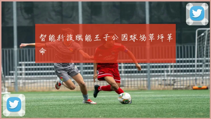 智能科技赋能王子公园球场草坪革命