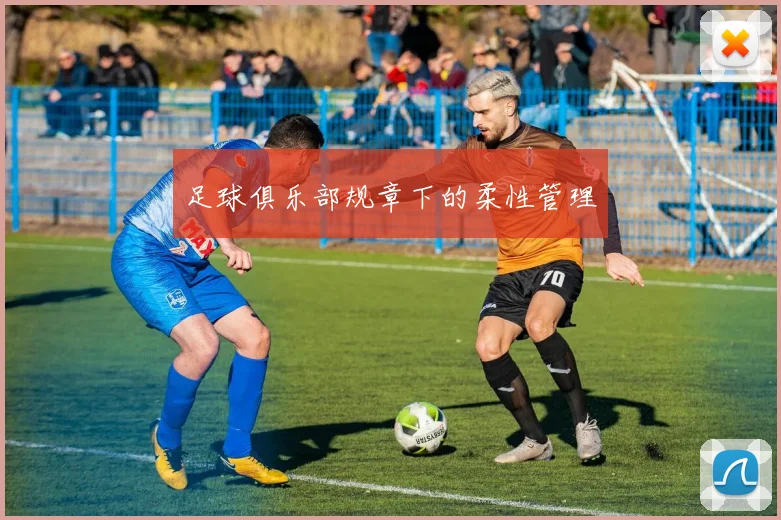 足球俱乐部规章下的柔性管理