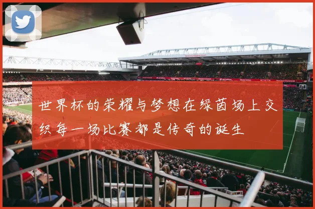 世界杯的荣耀与梦想在绿茵场上交织每一场比赛都是传奇的诞生