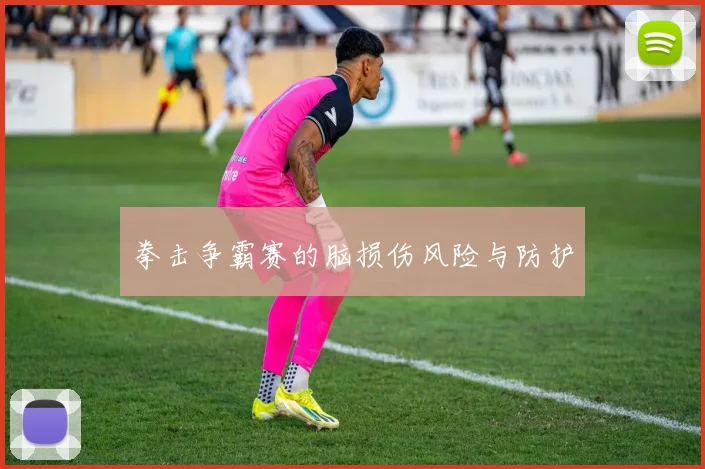 拳击争霸赛的脑损伤风险与防护